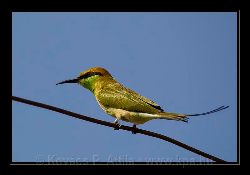 Jaipur-India_088.jpg