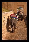 Jaipur-India_023