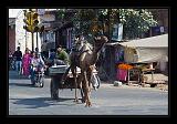 Jaipur-India_090