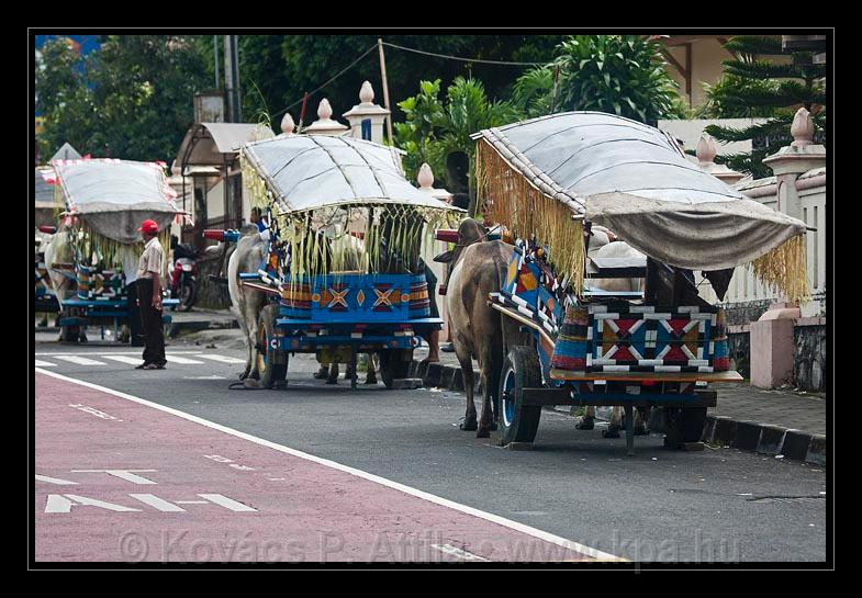 Java_Indonesia_020.jpg