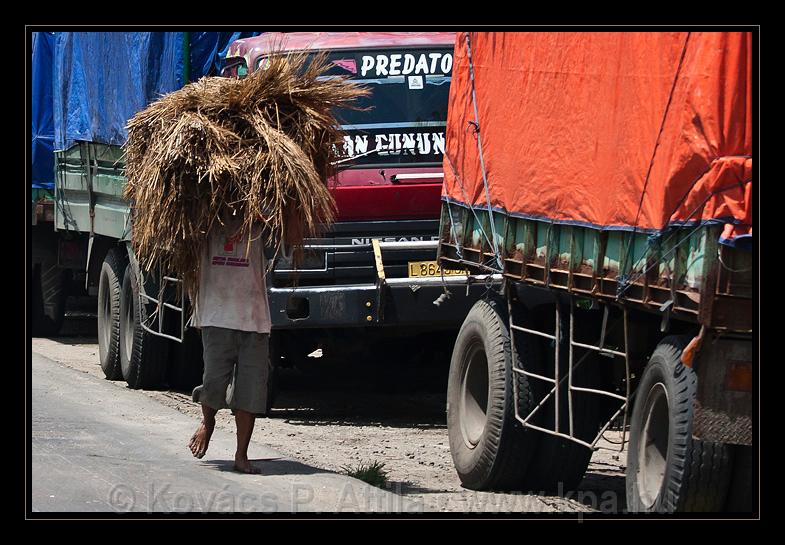 Java_Indonesia_043.jpg