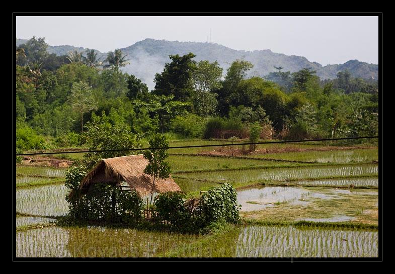 Lombok_Indonesia_008.jpg