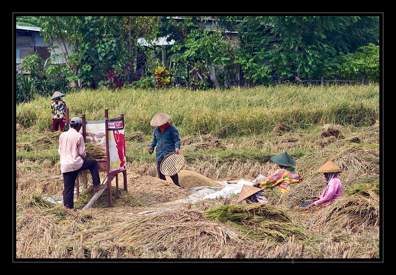 Lombok_Indonesia_013.jpg