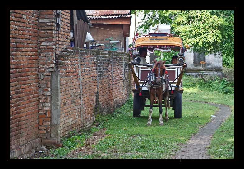 Lombok_Indonesia_026.jpg