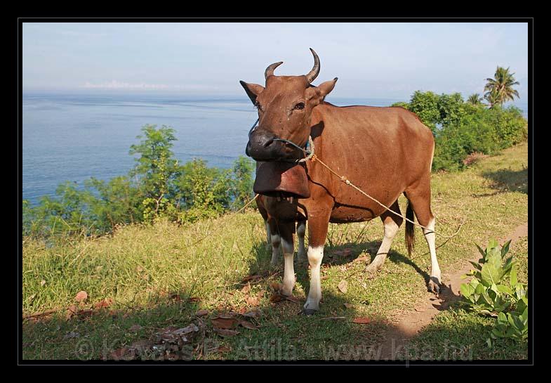 Lombok_Indonesia_035.jpg