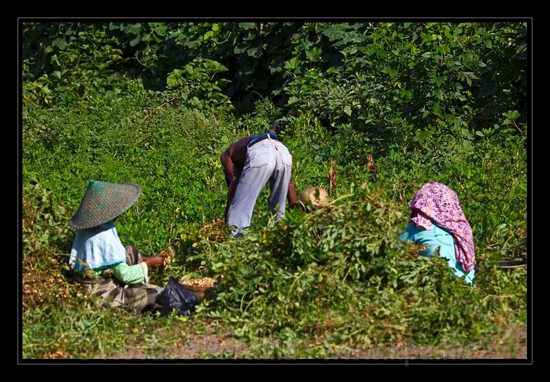 Lombok_Indonesia_040.jpg