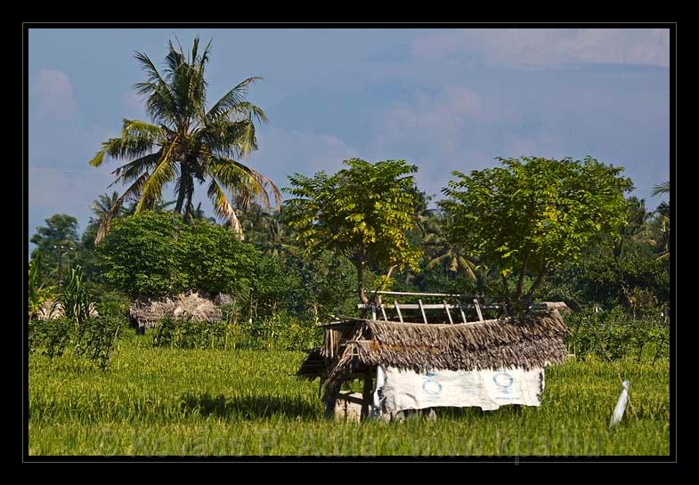 Lombok_Indonesia_041.jpg