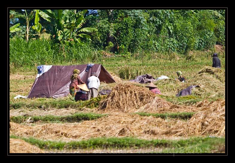 Lombok_Indonesia_042.jpg