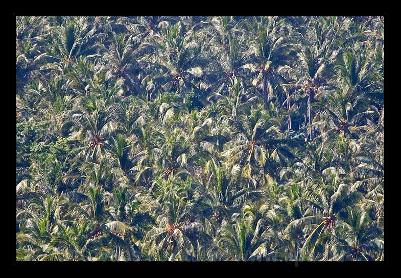 Lombok_Indonesia_044.jpg