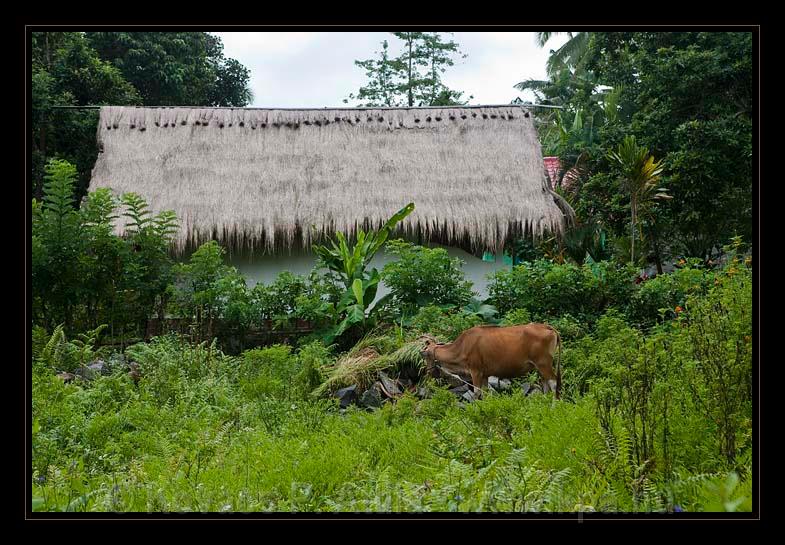 Lombok_Indonesia_061.jpg