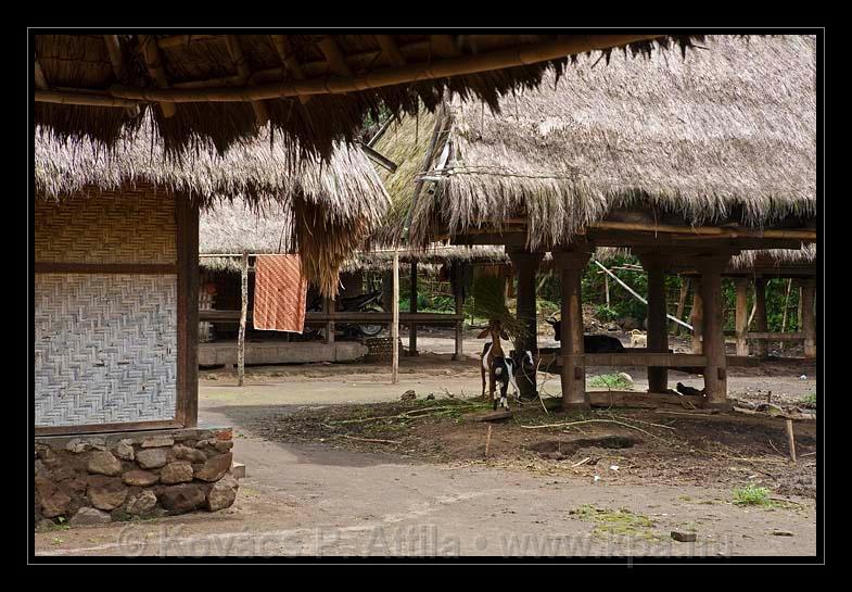 Lombok_Indonesia_063.jpg