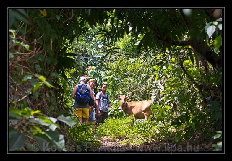 Lombok_Indonesia_100.jpg