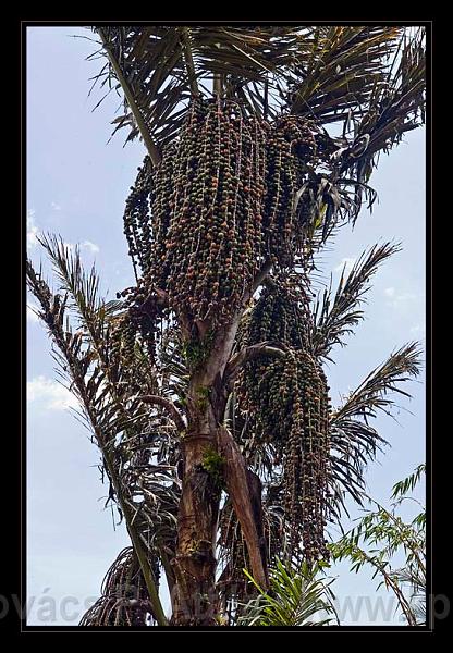 Lombok_Indonesia_101.jpg