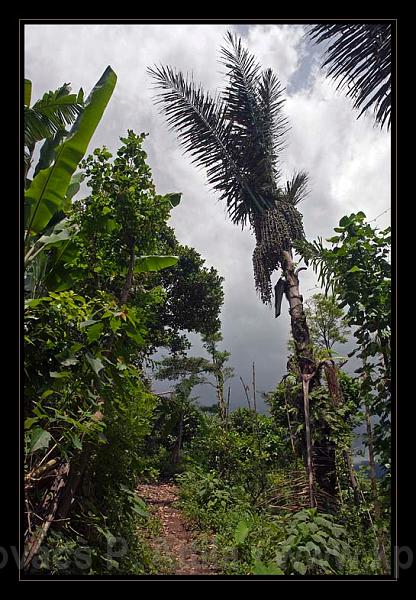 Lombok_Indonesia_102.jpg