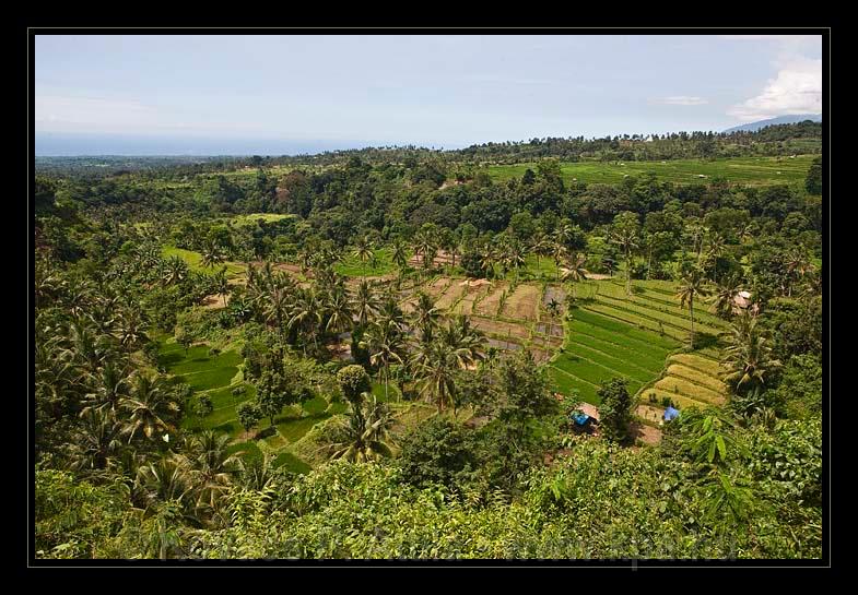 Lombok_Indonesia_122.jpg