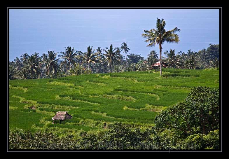 Lombok_Indonesia_123.jpg