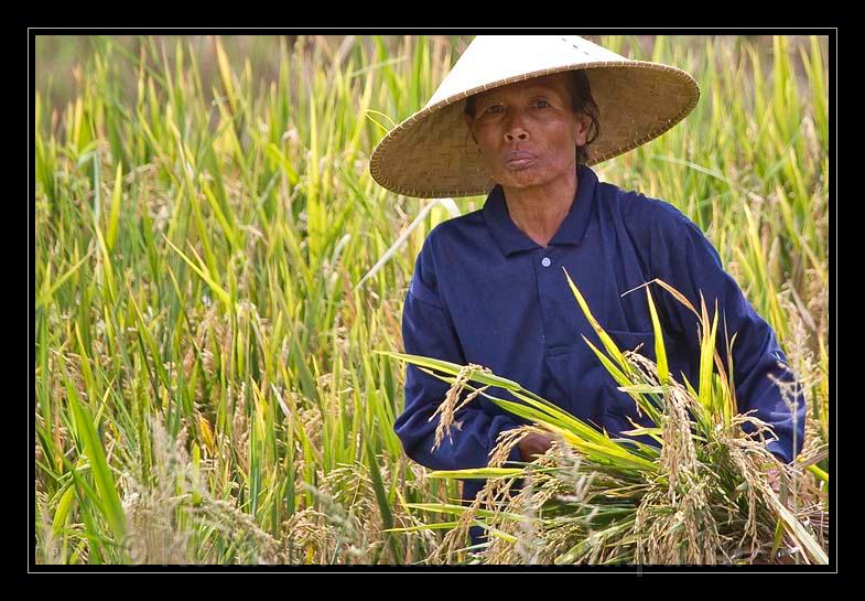 Lombok_Indonesia_124.jpg