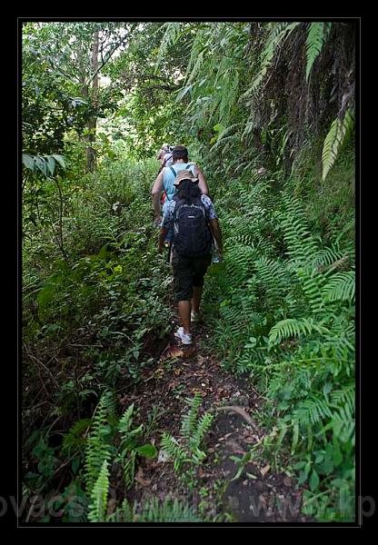 Lombok_Indonesia_135.jpg