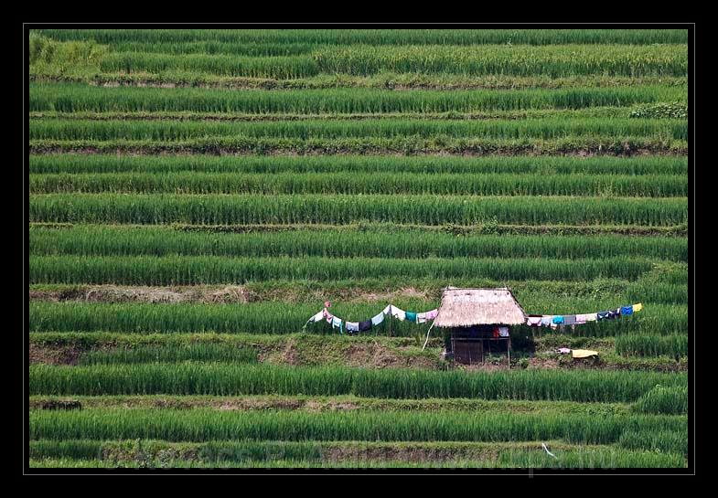 Lombok_Indonesia_150.jpg