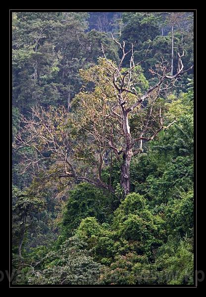 Lombok_Indonesia_168.jpg