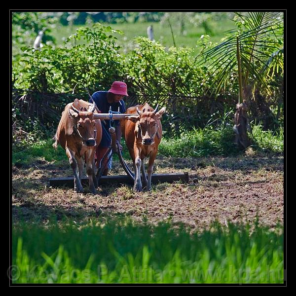 Lombok_Indonesia_185.jpg