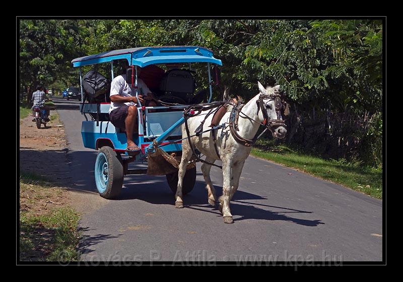 Lombok_Indonesia_189.jpg