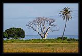 Lombok_Indonesia_039