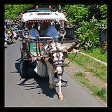 Lombok_Indonesia_058