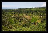 Lombok_Indonesia_122