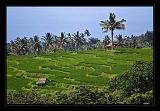 Lombok_Indonesia_123