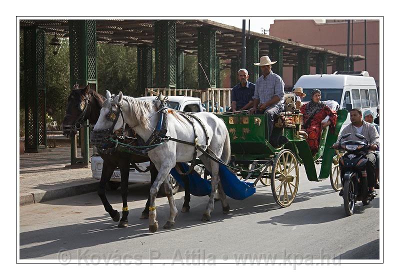 Marrakech_064.jpg