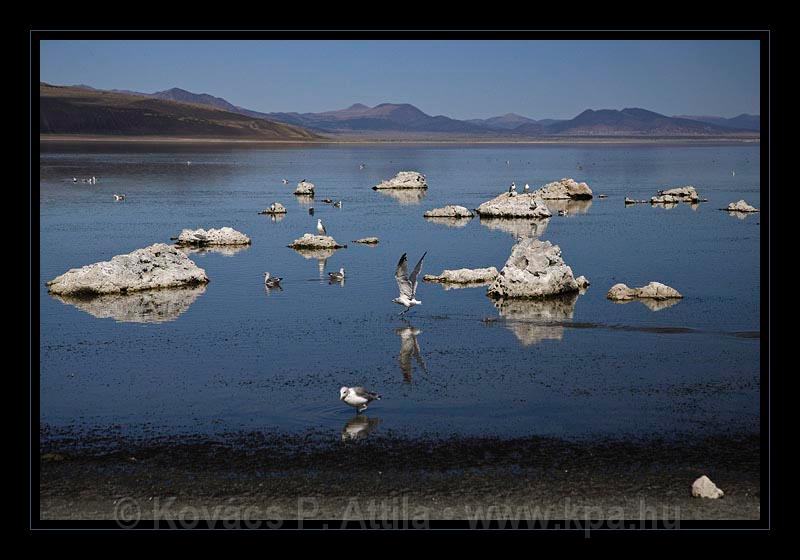 Mono_Lake_USA_006.jpg