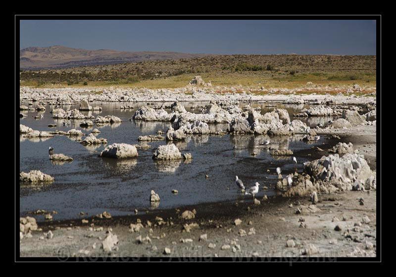 Mono_Lake_USA_009.jpg