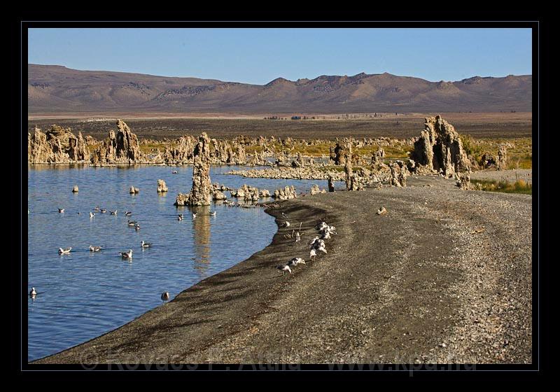 Mono_Lake_USA_043.jpg