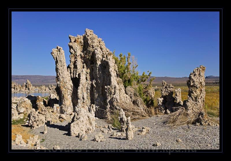 Mono_Lake_USA_052.jpg