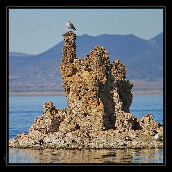 Mono_Lake_USA_057.jpg