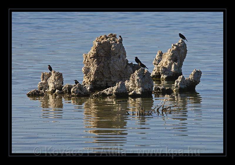 Mono_Lake_USA_059.jpg