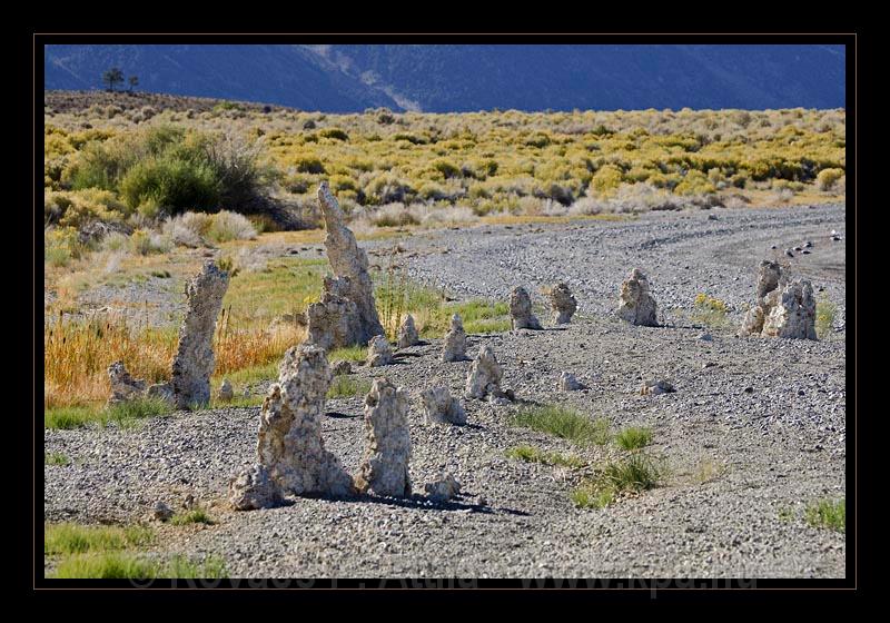 Mono_Lake_USA_060.jpg