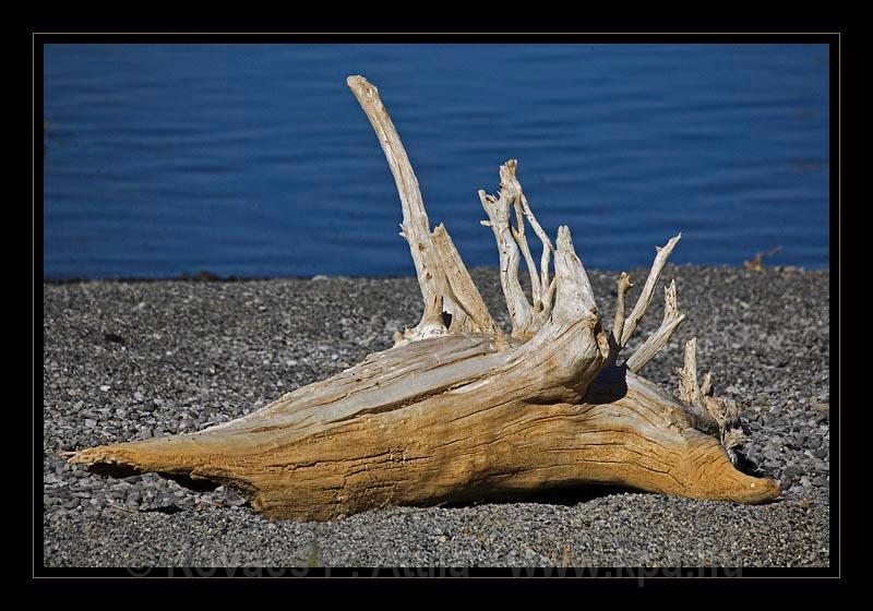 Mono_Lake_USA_062.jpg