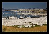 Mono_Lake_USA_005