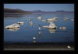 Mono_Lake_USA_006