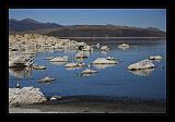 Mono_Lake_USA_007