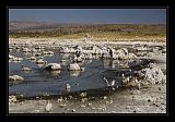 Mono_Lake_USA_009