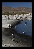 Mono_Lake_USA_011