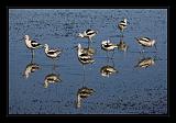 Mono_Lake_USA_019