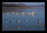 Mono_Lake_USA_021