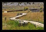 Mono_Lake_USA_031