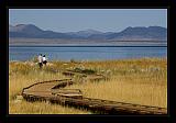 Mono_Lake_USA_034