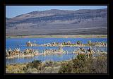 Mono_Lake_USA_036