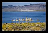 Mono_Lake_USA_037